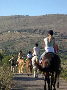 Greece-Crete-Land of Zorba - North South Trek